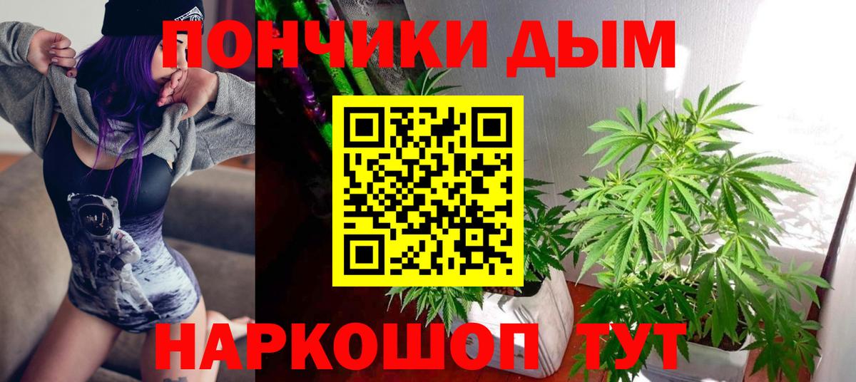 Каннабис план Саянск